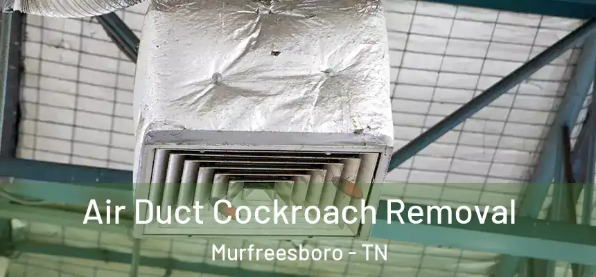 Air Duct Cockroach Removal Murfreesboro - TN