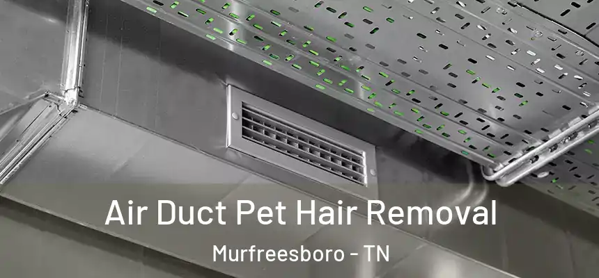 Air Duct Pet Hair Removal Murfreesboro - TN