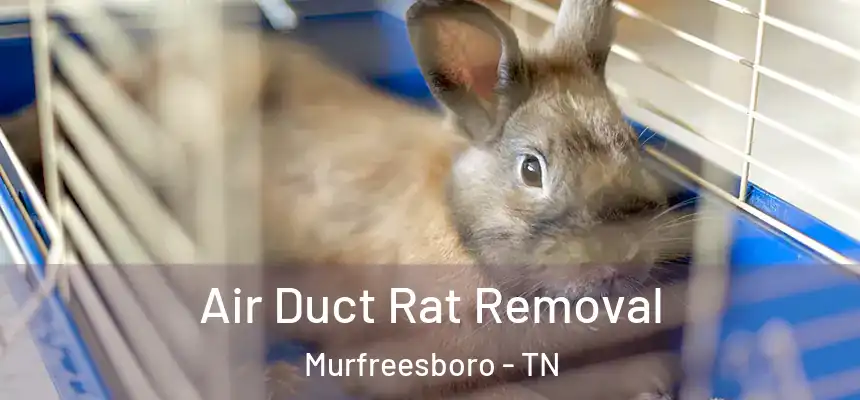  Air Duct Rat Removal Murfreesboro - TN
