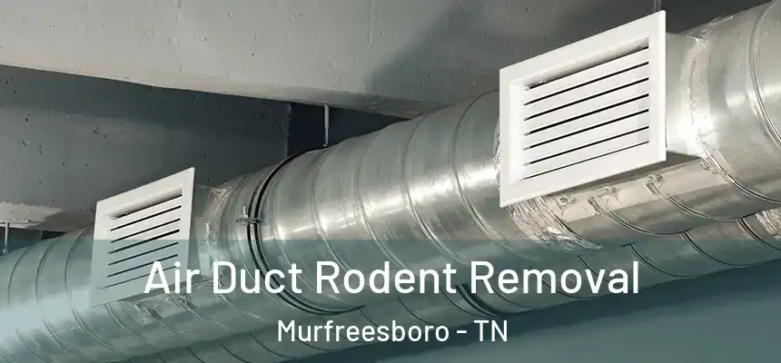 Air Duct Rodent Removal Murfreesboro - TN