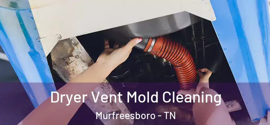  Dryer Vent Mold Cleaning Murfreesboro - TN