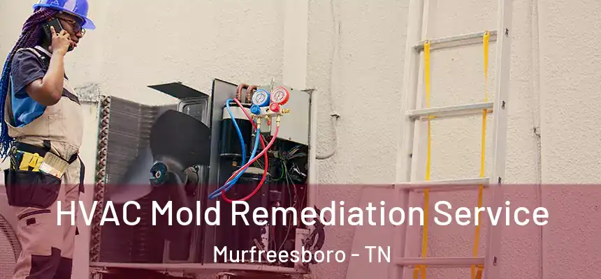 HVAC Mold Remediation Service Murfreesboro - TN