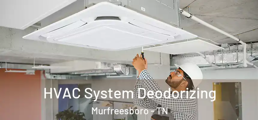 HVAC System Deodorizing Murfreesboro - TN