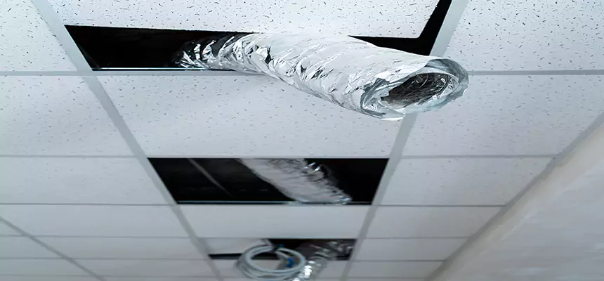 Affordable HVAC Sanitizing After Pest Removal in Murfreesboro