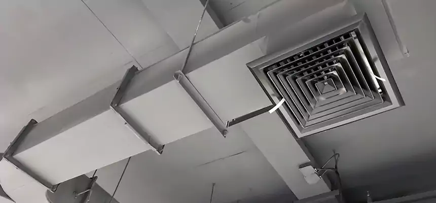 Restorative Allergy Relief Vent Cleaning – Coil, Blower & Housing Detail in Murfreesboro