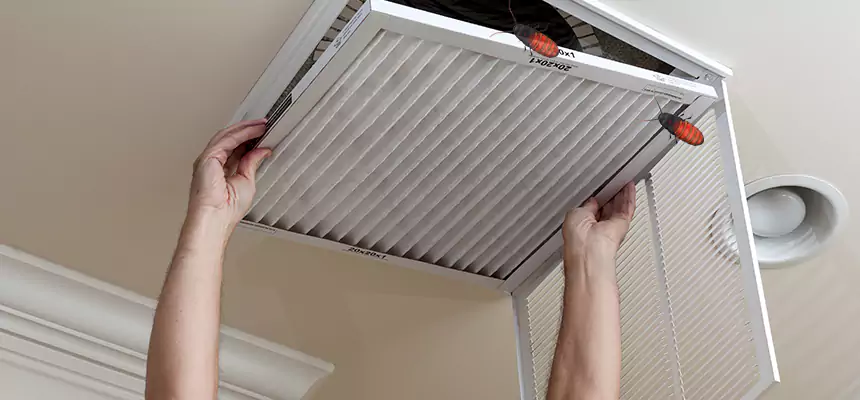Our Insect Removal from Air Ducts Services in Murfreesboro, TN