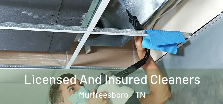 Licensed And Insured Cleaners Murfreesboro - TN