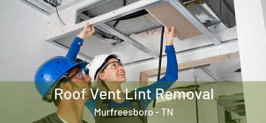 Roof Vent Lint Removal Murfreesboro - TN
