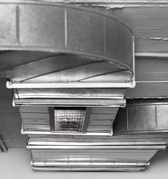 Professional Air Duct Pest Removal in Murfreesboro, TN