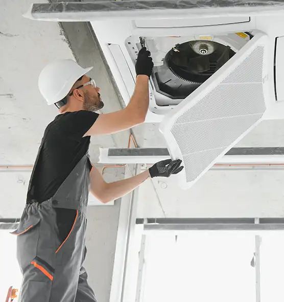 About Air Duct Rodent Removal in Murfreesboro, TN