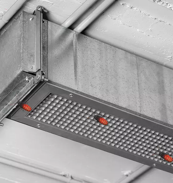 Affordable Insect Removal from Air Ducts in Murfreesboro, TN