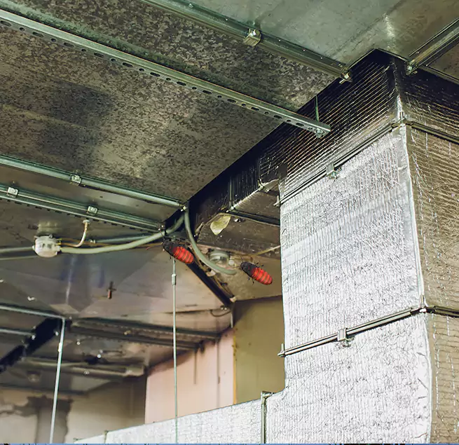 Why Homeowners & Businesses Trust Us in Murfreesboro, TN?